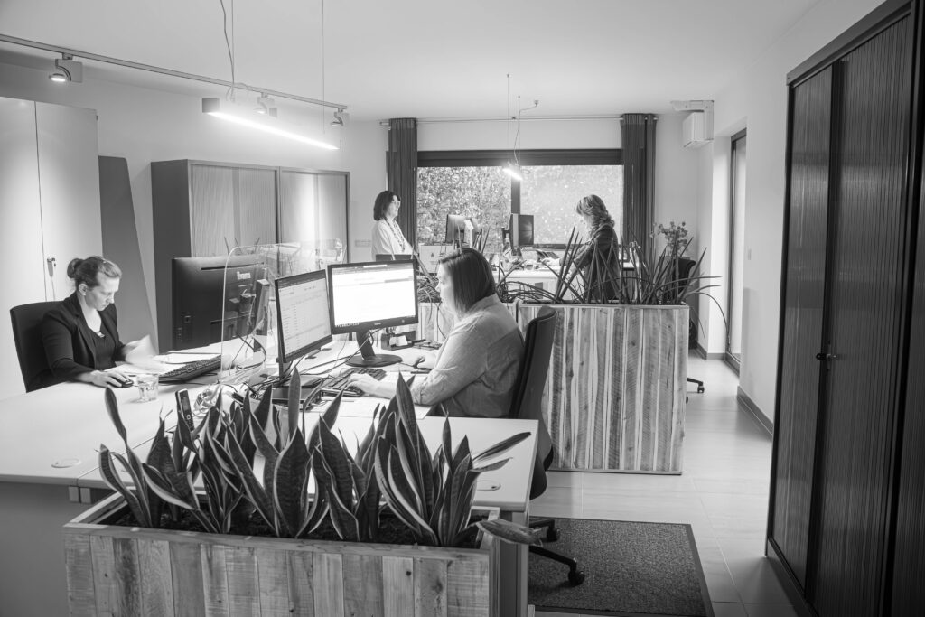 Boutique accountant