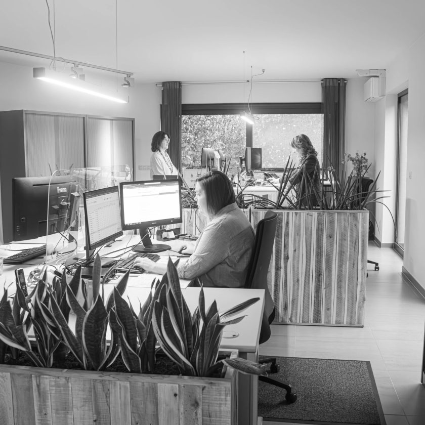 Boutique accountant